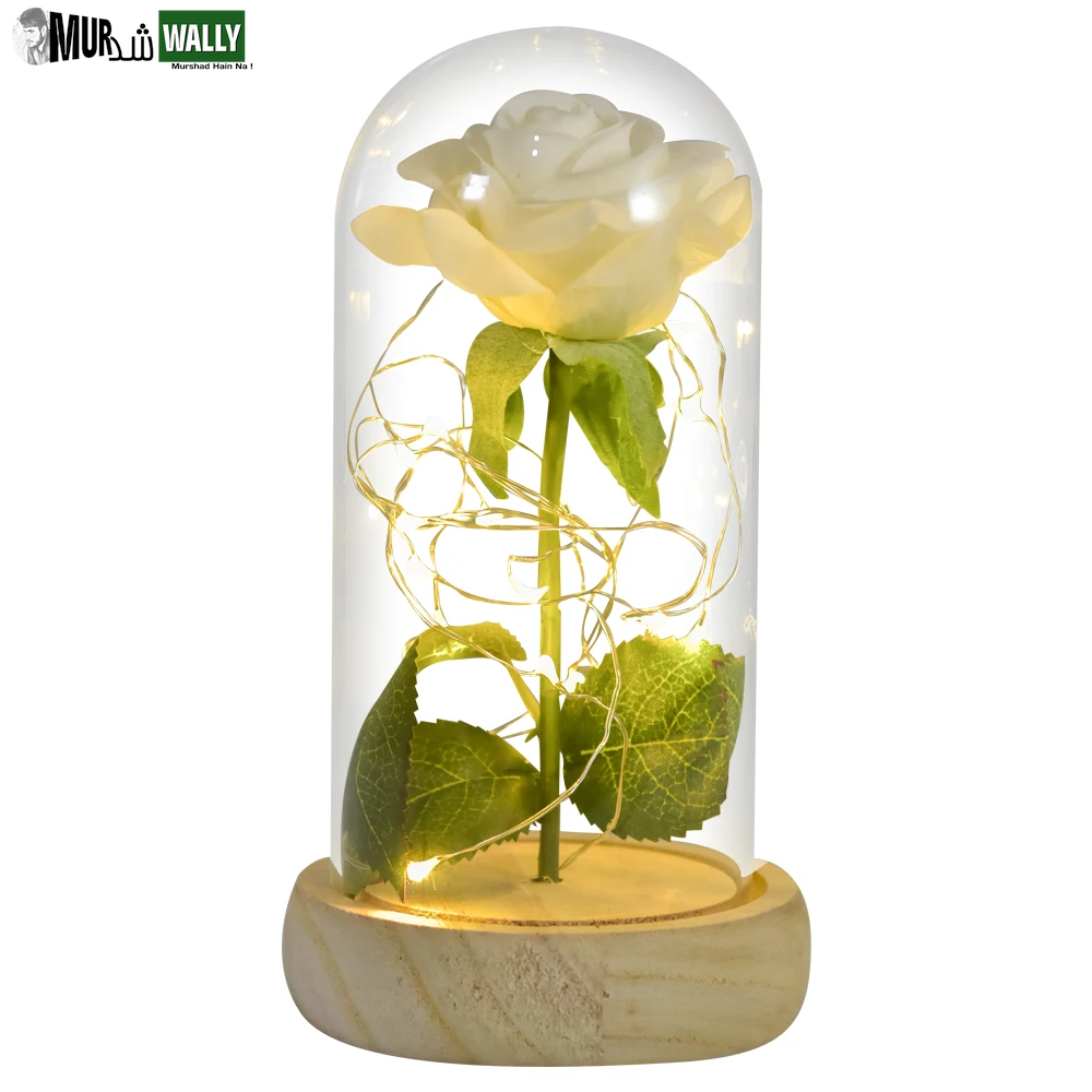 Gifts for Her Beauty and the Beast Eternal Rose in Glass Dome Artificial Forever Flower LED Light Mothers Day Gifts for Women