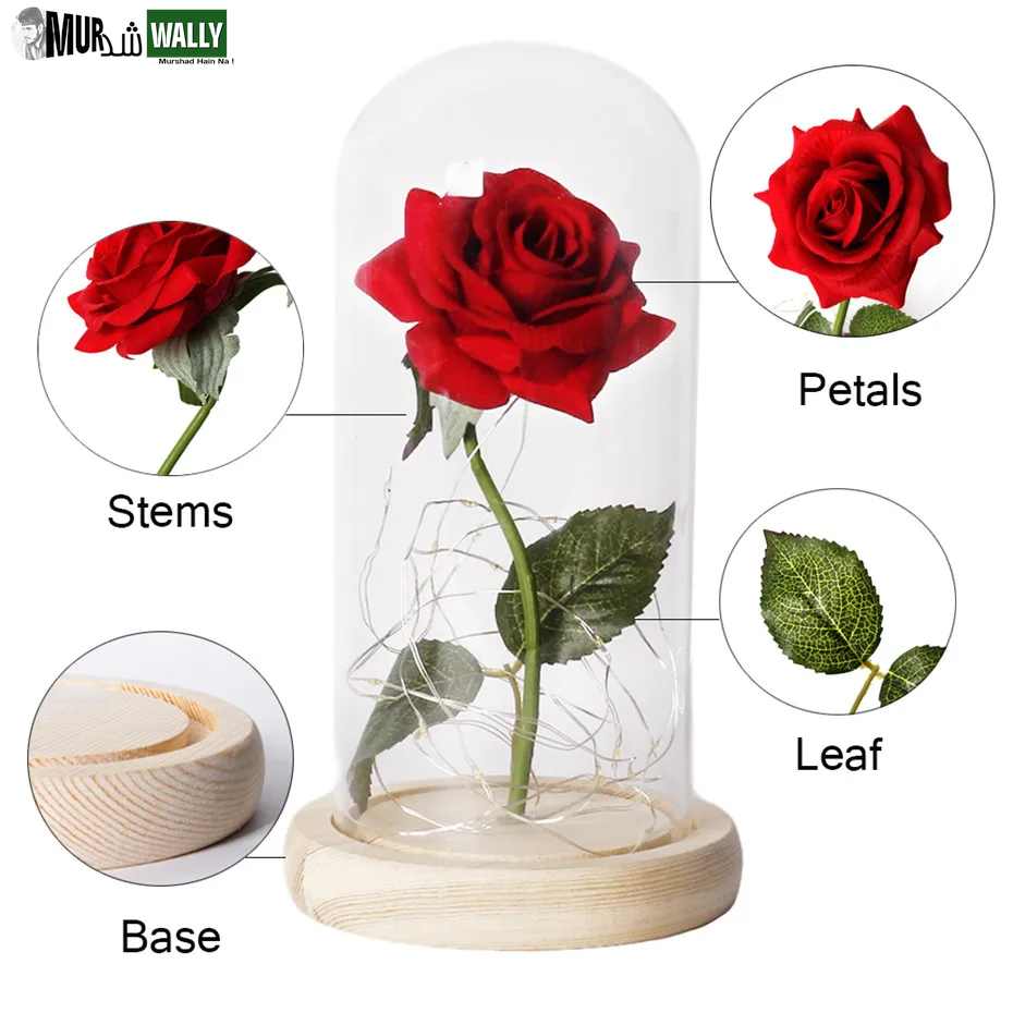 Beauty and the Beast Rose Rose in LED Glass Dome Forever Rose Red Rose Valentine'S Day Mother'S Day Special Romantic Gift