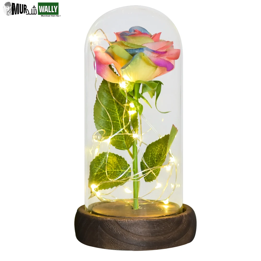 Gifts for Her Beauty and the Beast Eternal Rose in Glass Dome Artificial Forever Flower LED Light Mothers Day Gifts for Women