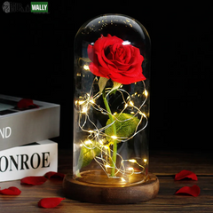 Beauty and the Beast Rose Rose in LED Glass Dome Forever Rose Red Rose Valentine'S Day Mother'S Day Special Romantic Gift