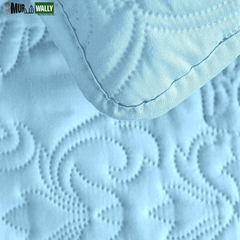 Sophia and William 2 Pieces Quilt Set Twin Size with 1 Quilt and 1 Pillow Sham, Reversible Microfiber Bedding Bedspread Coverlet Set, Cozy, Lightweight and Hypoallergenic, Light Blue