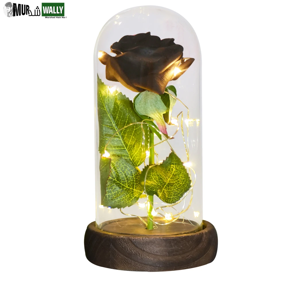 Gifts for Her Beauty and the Beast Eternal Rose in Glass Dome Artificial Forever Flower LED Light Mothers Day Gifts for Women