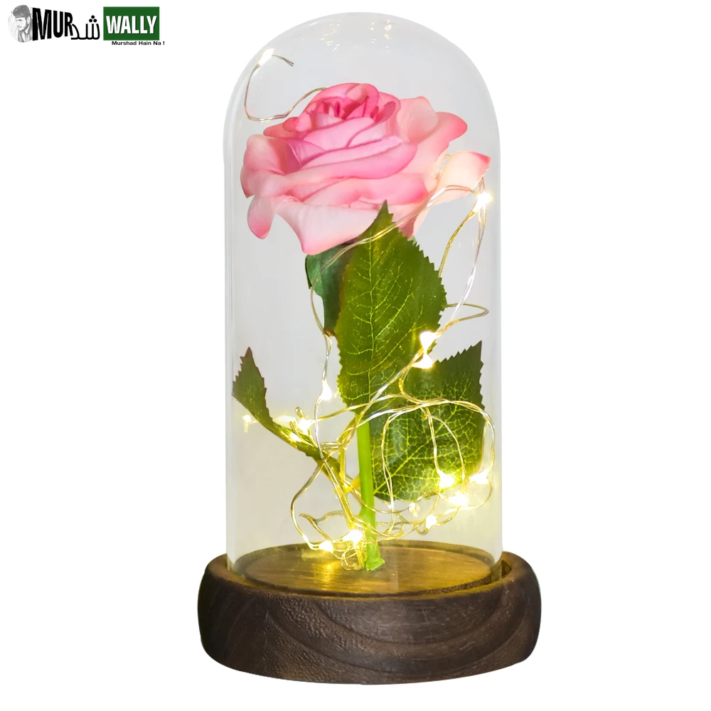 Gifts for Her Beauty and the Beast Eternal Rose in Glass Dome Artificial Forever Flower LED Light Mothers Day Gifts for Women