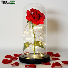 Beauty and the Beast Rose Rose in LED Glass Dome Forever Rose Red Rose Valentine'S Day Mother'S Day Special Romantic Gift