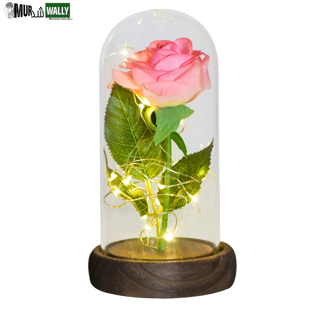 Gifts for Her Beauty and the Beast Eternal Rose in Glass Dome Artificial Forever Flower LED Light Mothers Day Gifts for Women