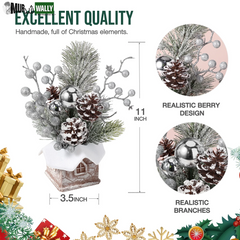 Small Christmas Tree, Artificial Mini Tabletop Christmas Decorations with Christmas Ornaments, for Home Party Thankgivings Christmas Decor Indoor, Silver