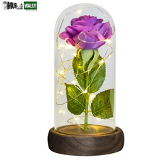 Gifts for Her Beauty and the Beast Eternal Rose in Glass Dome Artificial Forever Flower LED Light Mothers Day Gifts for Women