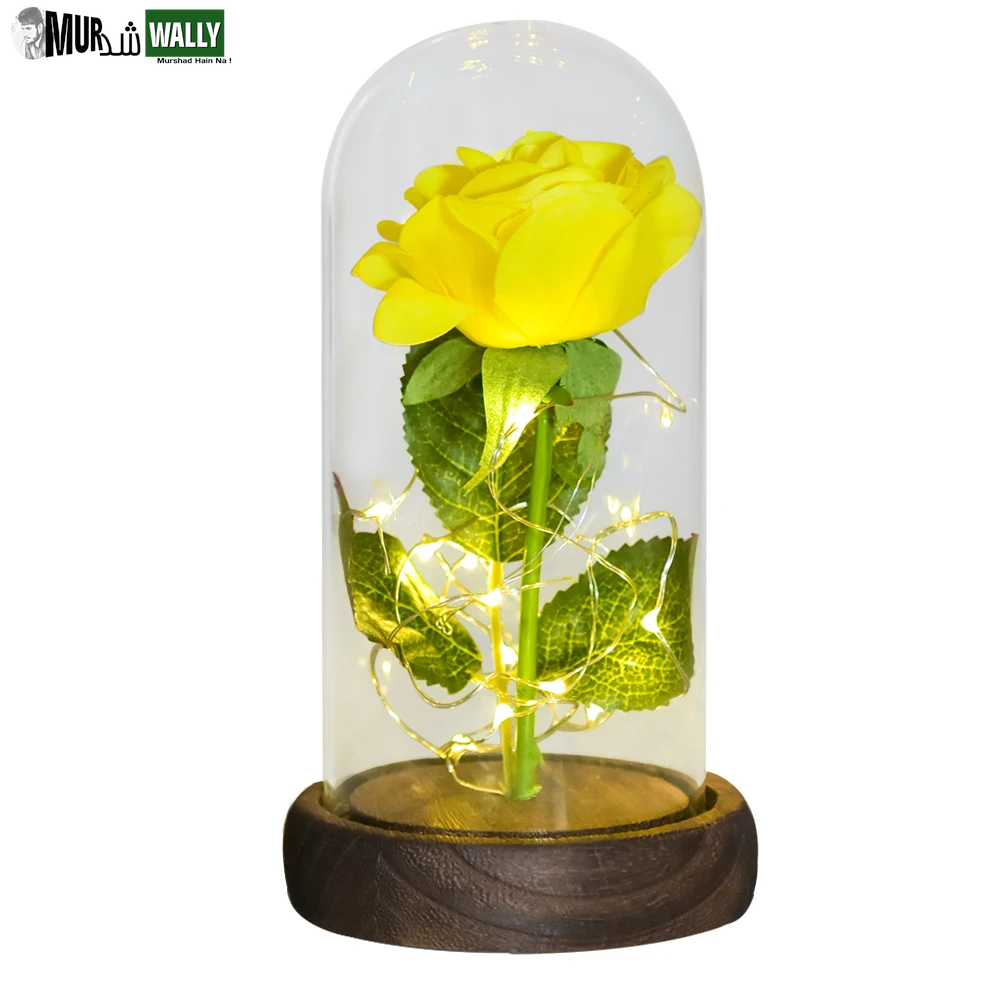 Gifts for Her Beauty and the Beast Eternal Rose in Glass Dome Artificial Forever Flower LED Light Mothers Day Gifts for Women