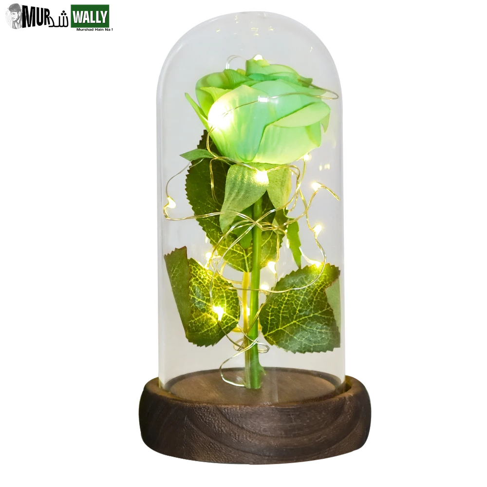 Gifts for Her Beauty and the Beast Eternal Rose in Glass Dome Artificial Forever Flower LED Light Mothers Day Gifts for Women