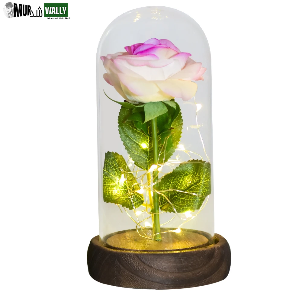 Gifts for Her Beauty and the Beast Eternal Rose in Glass Dome Artificial Forever Flower LED Light Mothers Day Gifts for Women