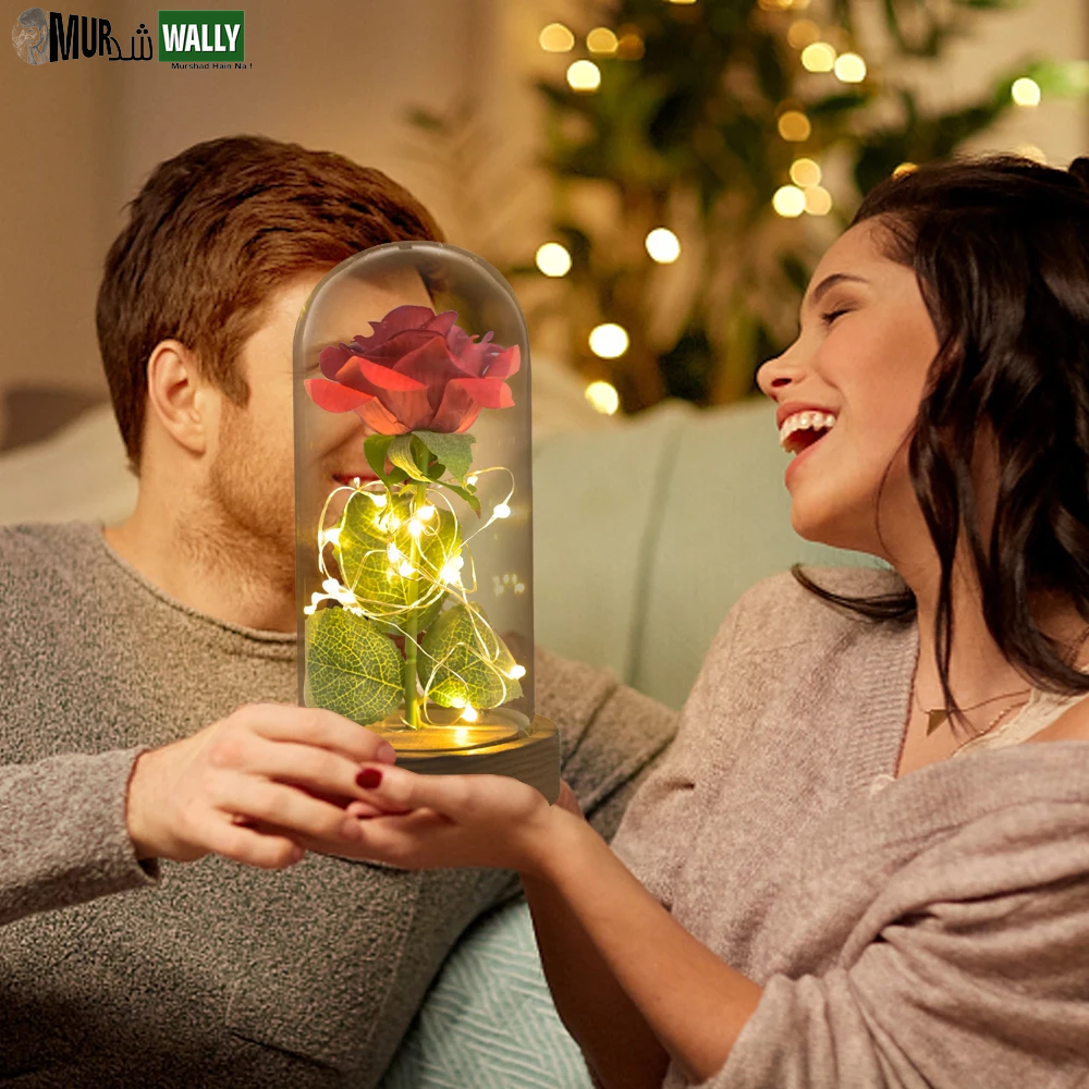 Gifts for Her Beauty and the Beast Eternal Rose in Glass Dome Artificial Forever Flower LED Light Mothers Day Gifts for Women