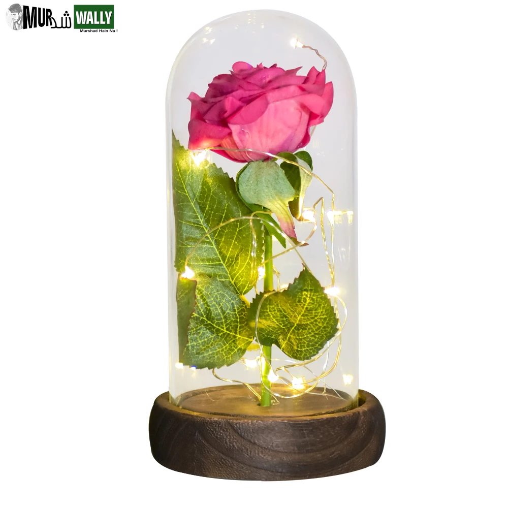 Gifts for Her Beauty and the Beast Eternal Rose in Glass Dome Artificial Forever Flower LED Light Mothers Day Gifts for Women
