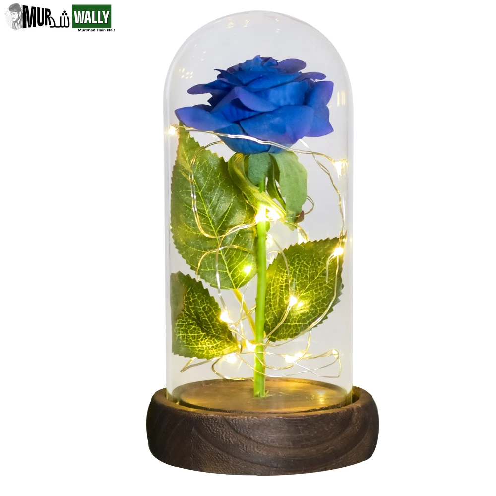 Gifts for Her Beauty and the Beast Eternal Rose in Glass Dome Artificial Forever Flower LED Light Mothers Day Gifts for Women