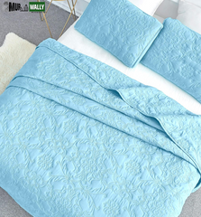 Sophia and William 2 Pieces Quilt Set Twin Size with 1 Quilt and 1 Pillow Sham, Reversible Microfiber Bedding Bedspread Coverlet Set, Cozy, Lightweight and Hypoallergenic, Light Blue