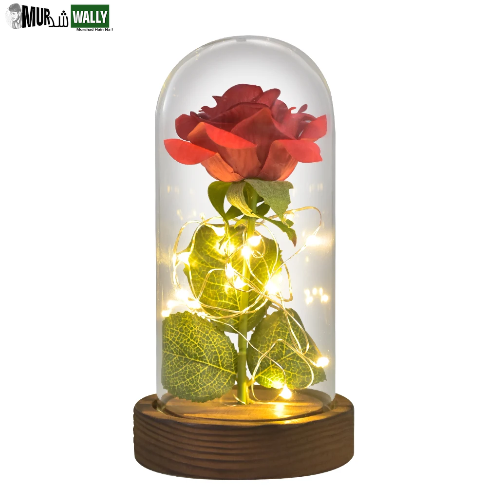Gifts for Her Beauty and the Beast Eternal Rose in Glass Dome Artificial Forever Flower LED Light Mothers Day Gifts for Women