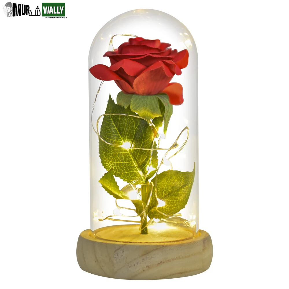 Gifts for Her Beauty and the Beast Eternal Rose in Glass Dome Artificial Forever Flower LED Light Mothers Day Gifts for Women